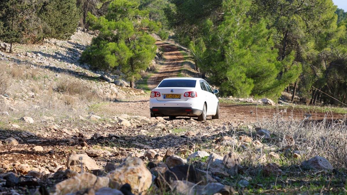 Μυστικά για Αυτοκίνηση και Κίνητρο
